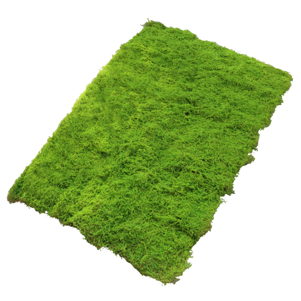 Tapete de musgo artificial, fo - Preserved Moss Sheet avaliação e preço