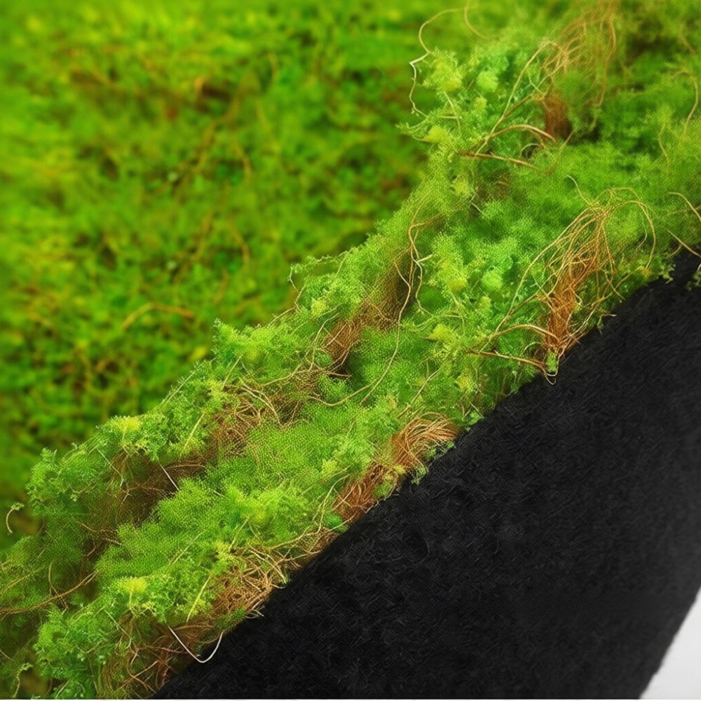 Tapete de musgo artificial, fo - Preserved Moss Sheet avaliação e preço