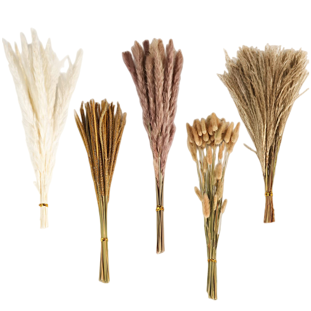 Buquê de Flores Secas Mistas V - Eucalyptus Preserved avaliação e preço
