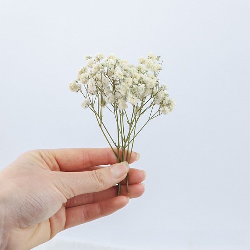 50 peças de flores de gipsófil - Florist Supply Vases avaliação e preço